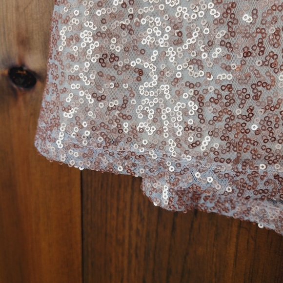 NWT AEO Rose Gold Sequin Mini Skirt - Picture 6 of 15
